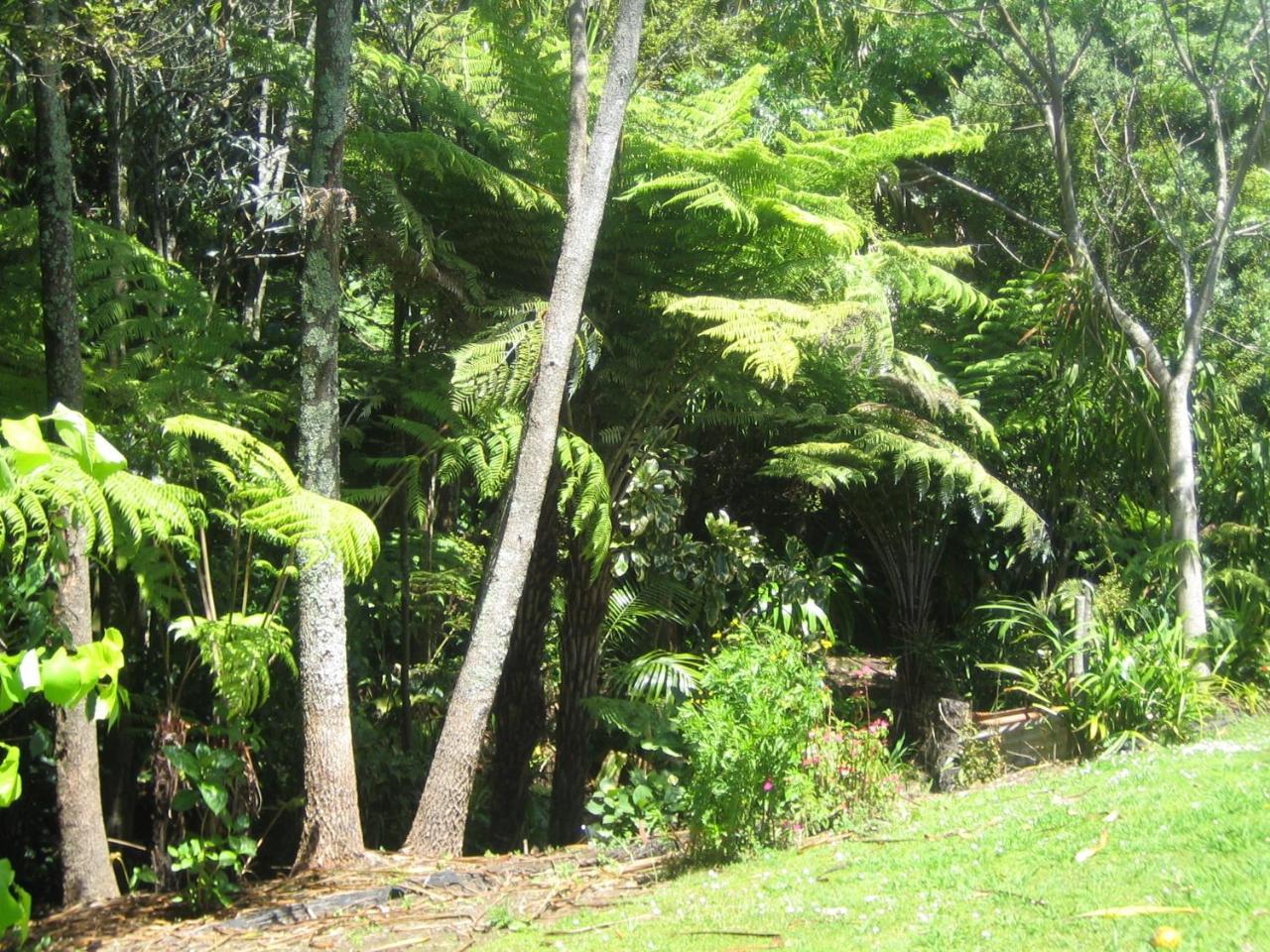 Whitby Studio - Mairangi Bay Beach Auckland Exterior foto